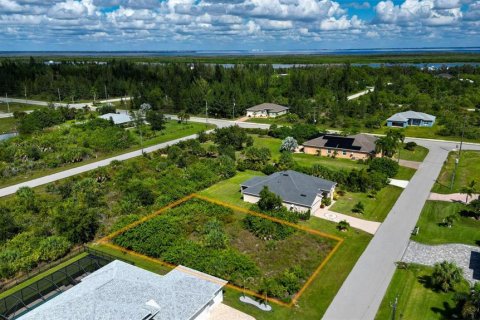 Land in Port Charlotte, Florida № 2393722 - photo 8