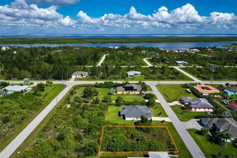 Land in Port Charlotte, Florida № 2393722 - photo 23