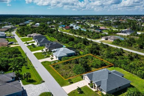Land in Port Charlotte, Florida № 2393722 - photo 11