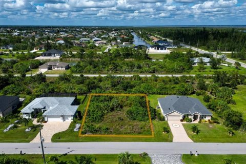 Land in Port Charlotte, Florida № 2393722 - photo 9