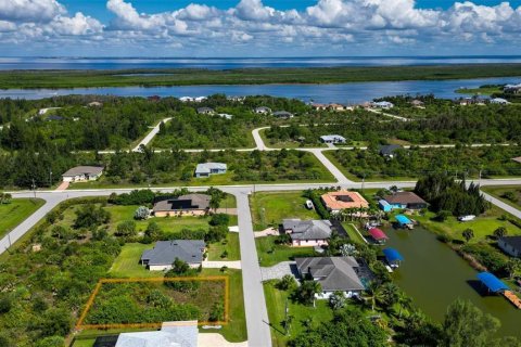 Land in Port Charlotte, Florida № 2393722 - photo 18