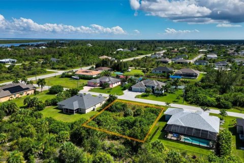 Land in Port Charlotte, Florida № 2393722 - photo 4