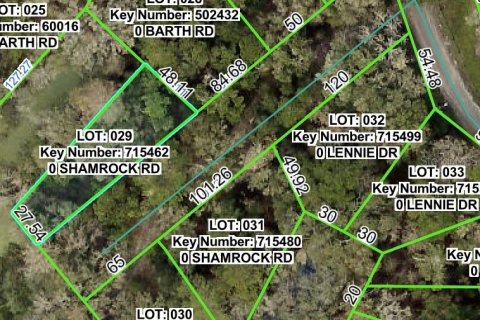 Terrain à Dade City, Floride № 2159827