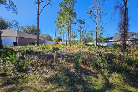 Terreno en venta en Palm Coast, Florida № 1535571 - foto 2