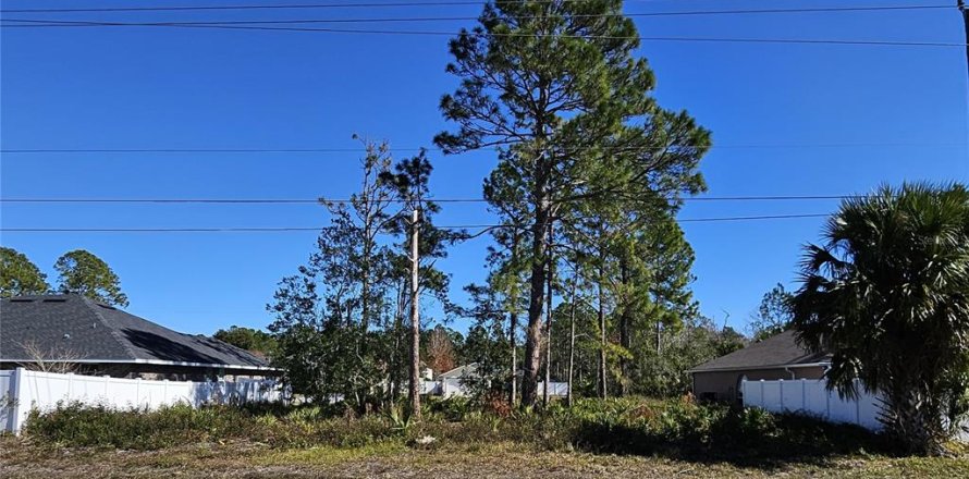 Terreno en Palm Coast, Florida № 1535571