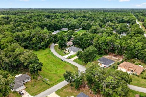 Villa ou maison à vendre à Dunnellon, Floride: 3 chambres, 204.29 m2 № 2404982 - photo 3