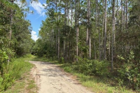 Land in Dunnellon, Florida № 2161663