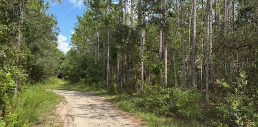 Land in Dunnellon, Florida № 2161663