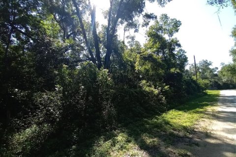 Terreno en venta en Webster, Florida № 1802199 - foto 4