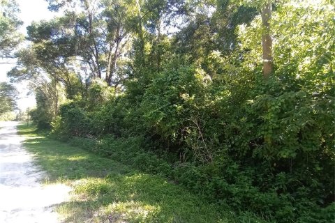 Terreno en venta en Webster, Florida № 1802199 - foto 6