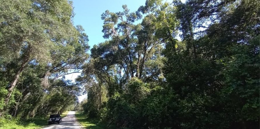Terreno en Webster, Florida № 1802199