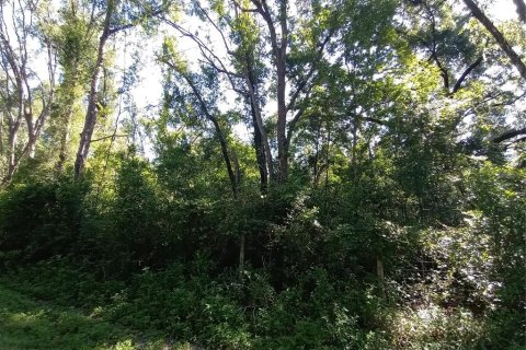 Terreno en venta en Webster, Florida № 1802199 - foto 5