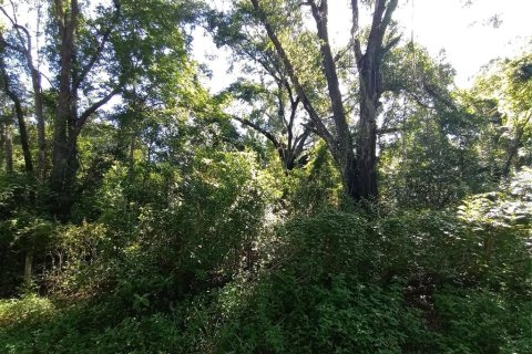 Terreno en venta en Webster, Florida № 1802199 - foto 3