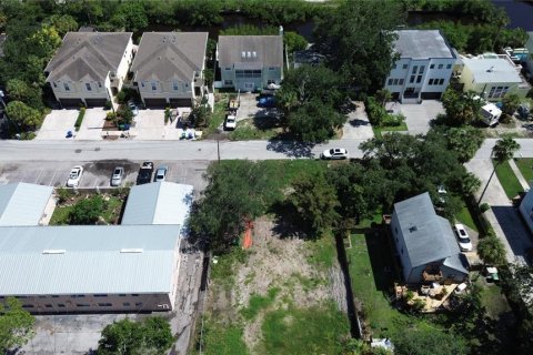 Land in Tampa, Florida № 1443803 - photo 10