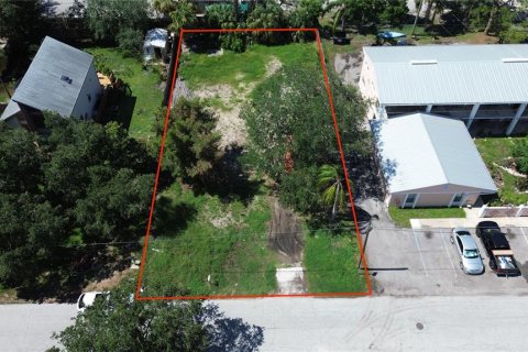 Land in Tampa, Florida № 1443803 - photo 11