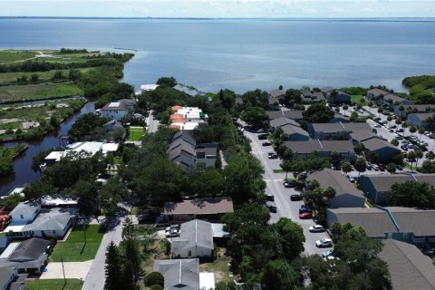 Land in Tampa, Florida № 1443803 - photo 3