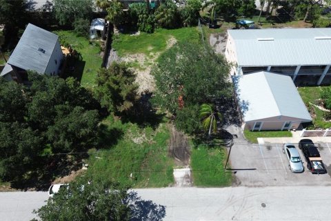 Land in Tampa, Florida № 1443803 - photo 9