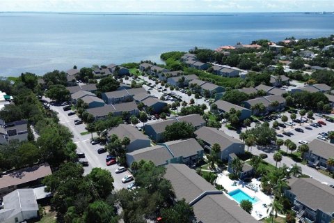 Land in Tampa, Florida № 1443803 - photo 4