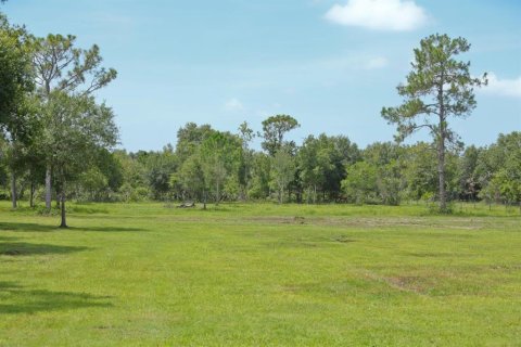 House in Myakka City, Florida 3 bedrooms, 130.43 sq.m. № 2218369 - photo 22