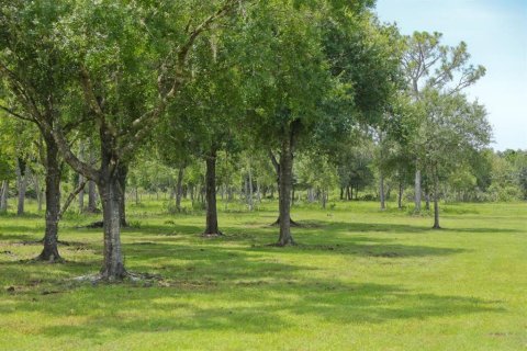 House in Myakka City, Florida 3 bedrooms, 130.43 sq.m. № 2218369 - photo 23