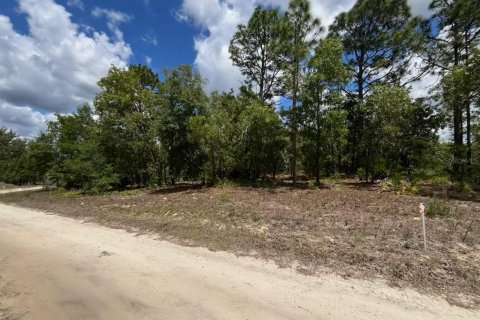 Land in Dunnellon, Florida № 2159002 - photo 2