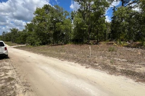 Land in Dunnellon, Florida № 2159002 - photo 4