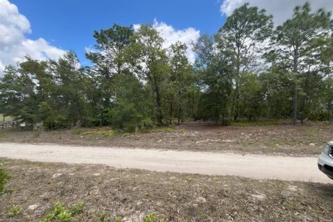 Land in Dunnellon, Florida № 2159002