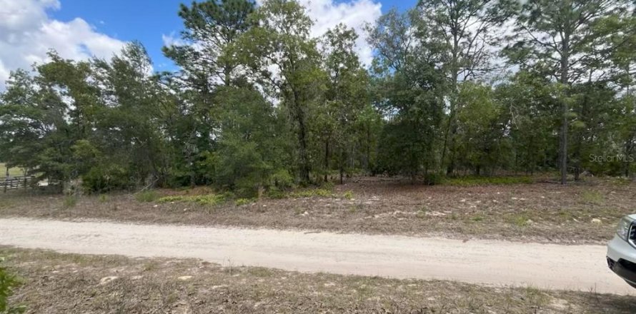 Land in Dunnellon, Florida № 2159002