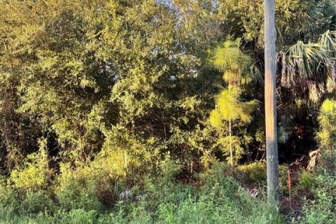 Land in North Port, Florida № 2204541 - photo 3