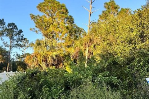 Land in North Port, Florida № 2204541 - photo 2