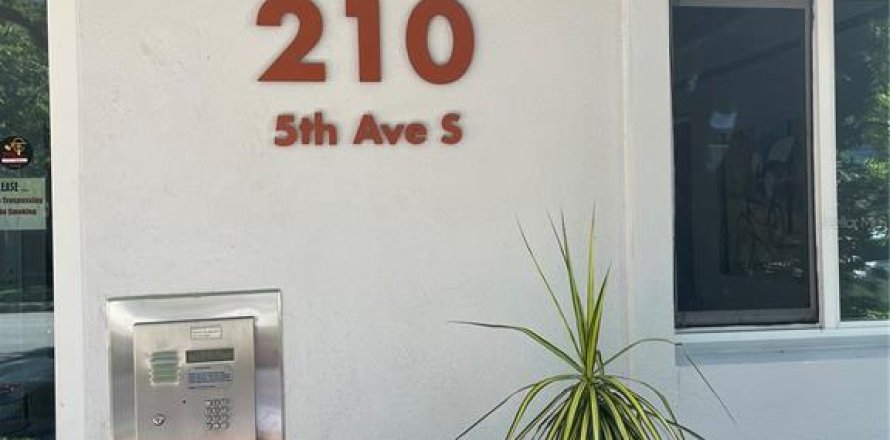 Studio à Condo à Saint Petersburg, Floride № 1760138