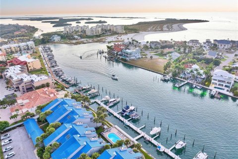Copropriété à louer à Tierra Verde, Floride: 2 chambres, 146.79 m2 № 2266709 - photo 21