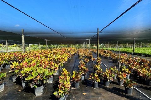 Commercial property in Homestead, Florida № 2012527 - photo 17