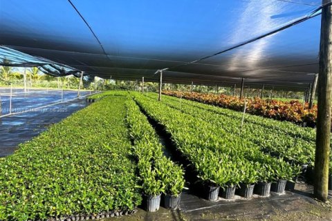 Commercial property in Homestead, Florida № 2012527 - photo 16