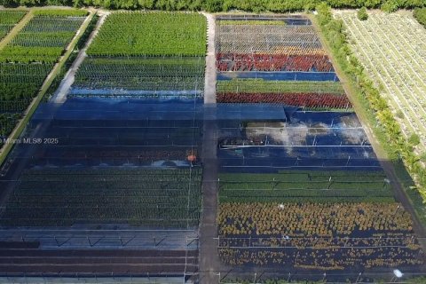 Commercial property in Homestead, Florida № 2012527 - photo 5