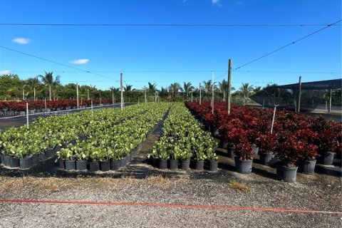 Commercial property in Homestead, Florida № 2012527 - photo 15