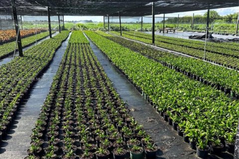 Commercial property in Homestead, Florida № 2012527 - photo 12