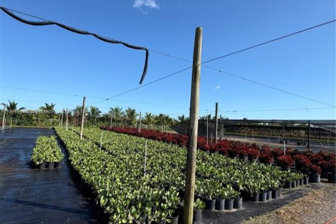 Commercial property in Homestead, Florida № 2012527 - photo 23