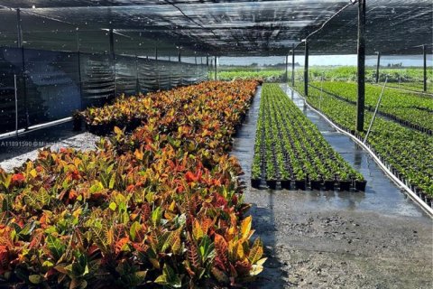 Commercial property in Homestead, Florida № 2012527 - photo 11