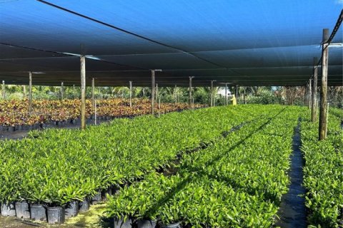 Commercial property in Homestead, Florida № 2012527 - photo 8