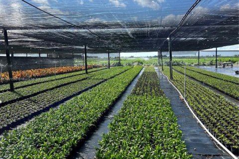 Commercial property in Homestead, Florida № 2012527 - photo 13