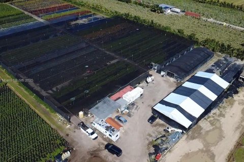 Commercial property in Homestead, Florida № 2012527 - photo 4