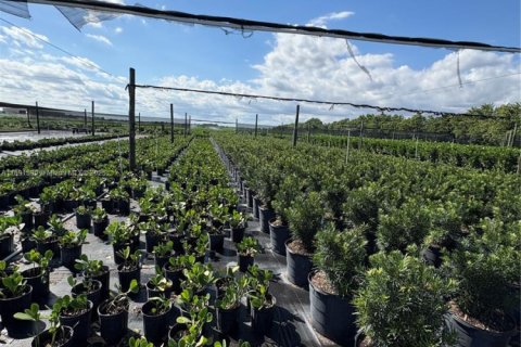 Commercial property in Homestead, Florida № 2012527 - photo 24