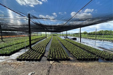 Commercial property in Homestead, Florida № 2012527 - photo 14