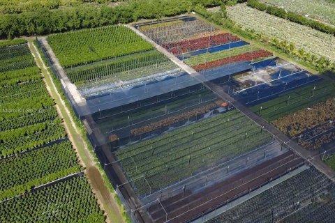 Commercial property in Homestead, Florida № 2012527 - photo 6