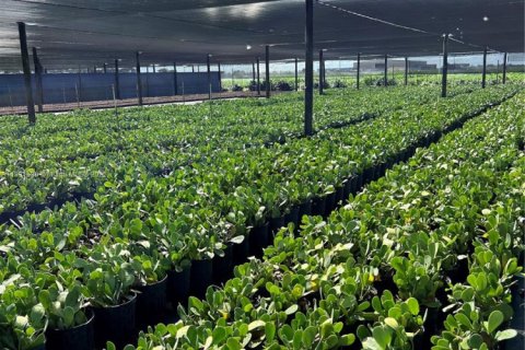 Commercial property in Homestead, Florida № 2012527 - photo 10