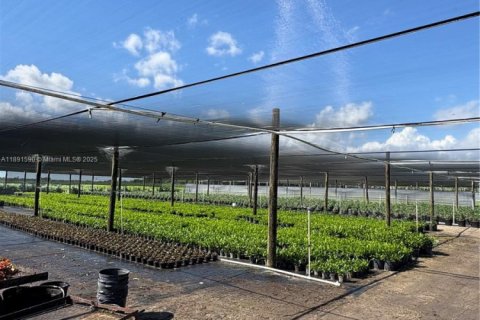 Commercial property in Homestead, Florida № 2012527 - photo 19