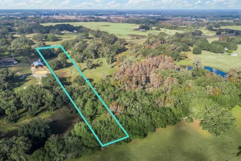 Land in Wildwood, Florida № 1561769 - photo 3