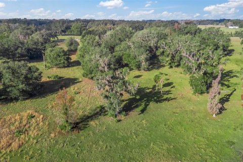 Land in Wildwood, Florida № 1561769 - photo 15