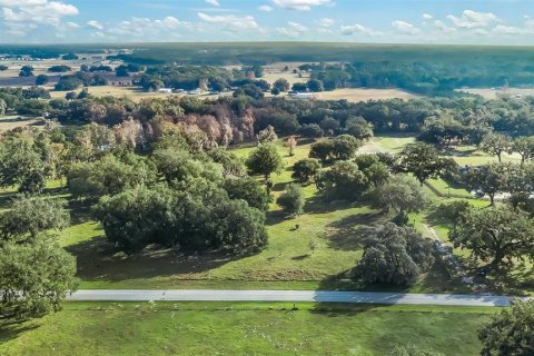 Land in Wildwood, Florida № 1561769 - photo 8